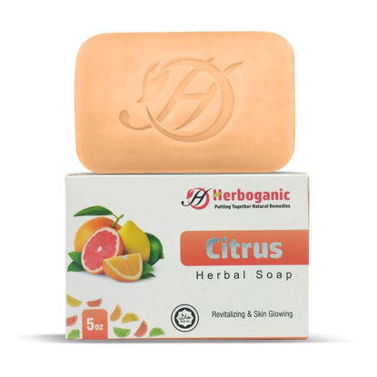 Picture of Citrus Herbal Soap